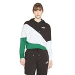 3673786-370-3_puma.gula