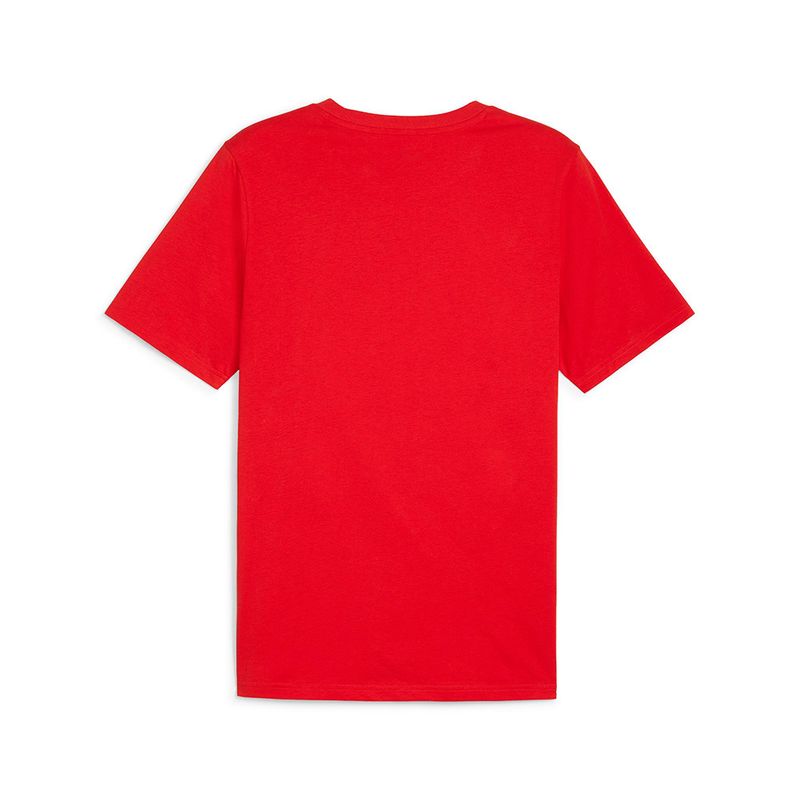 3678988-110-2_puma.mistertennis