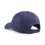 4023669-130-2_puma.mistertennis