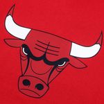 3521001-RED-4_fexpro.mistertennis