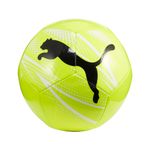 5084073-060-1_puma.mistertennis