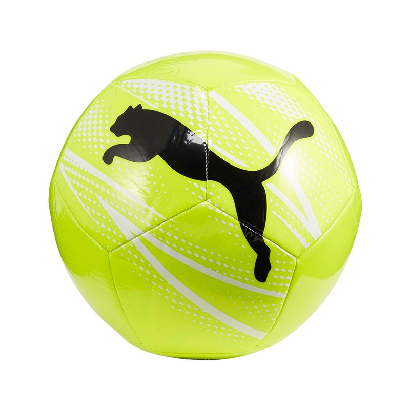 5084073-060-1_puma.mistertennis