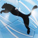 5084073-070-2_puma.mistertennis