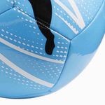 5084073-070-3_puma.mistertennis