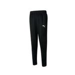 3586731-010-1_puma.mistertennis