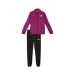 3680506-450-1_puma.mistertennis