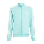 3IM0283-401-2_adidas.mistertennis