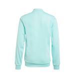 3IM0283-401-3_adidas.mistertennis