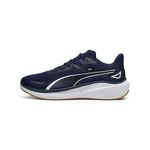2379437-400-1_puma.mistertennis