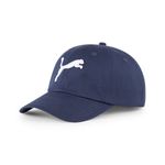4024587-170-1_puma.mistertennis