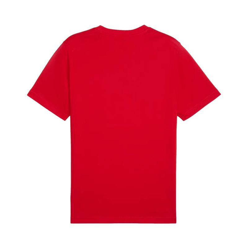 3682532-110-2_puma.mistertennis