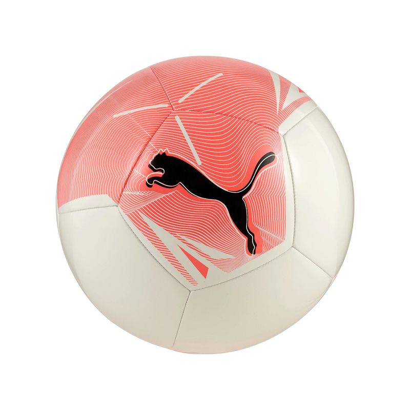 5084589-010-1_puma.mistertennis