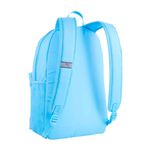 5091164-090-2_puma.mistertennis
