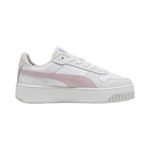 2389390-460-2_puma.mistertennis