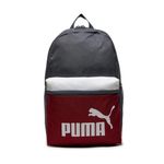 5090468-070-1_puma.mistertennis
