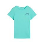3526552-590-1_puma.mistertennis
