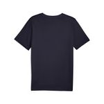 3688035-160-2_puma.mistertennis