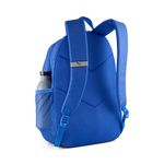 5091801-110-2_puma.mistertennis
